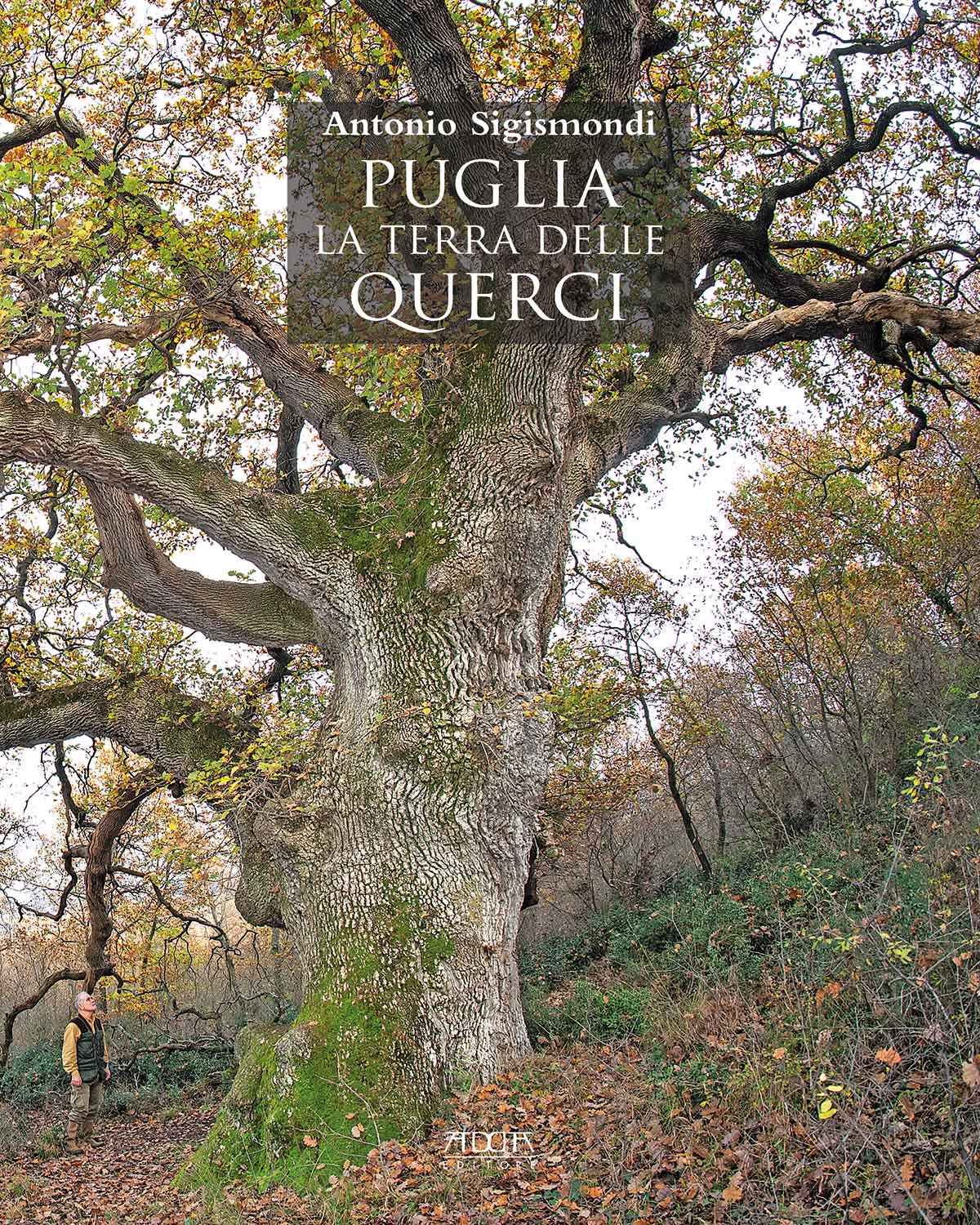 Puglia. La terra delle Querci
