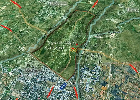 Due città peucete