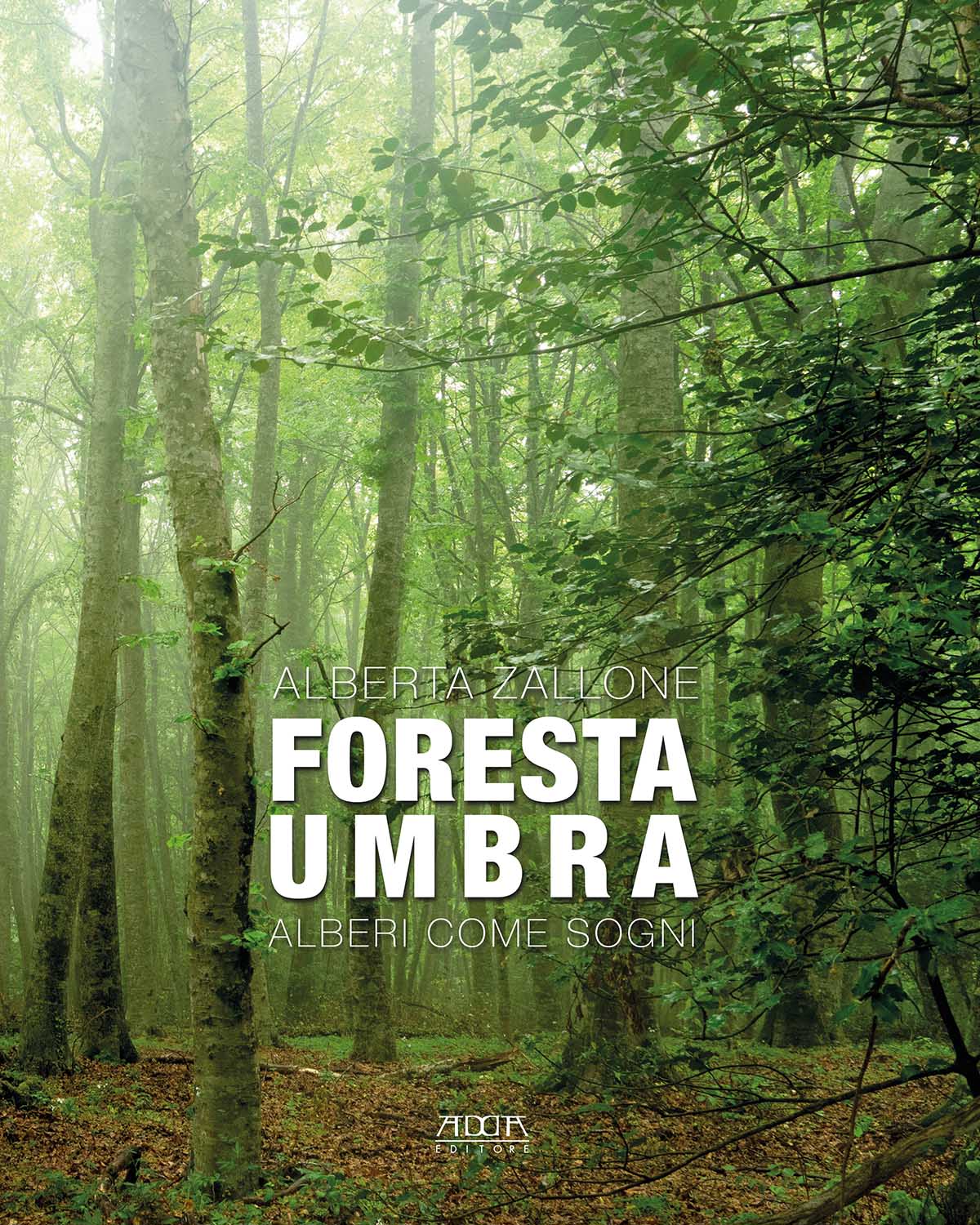 Foresta umbra. Alberi come sogni