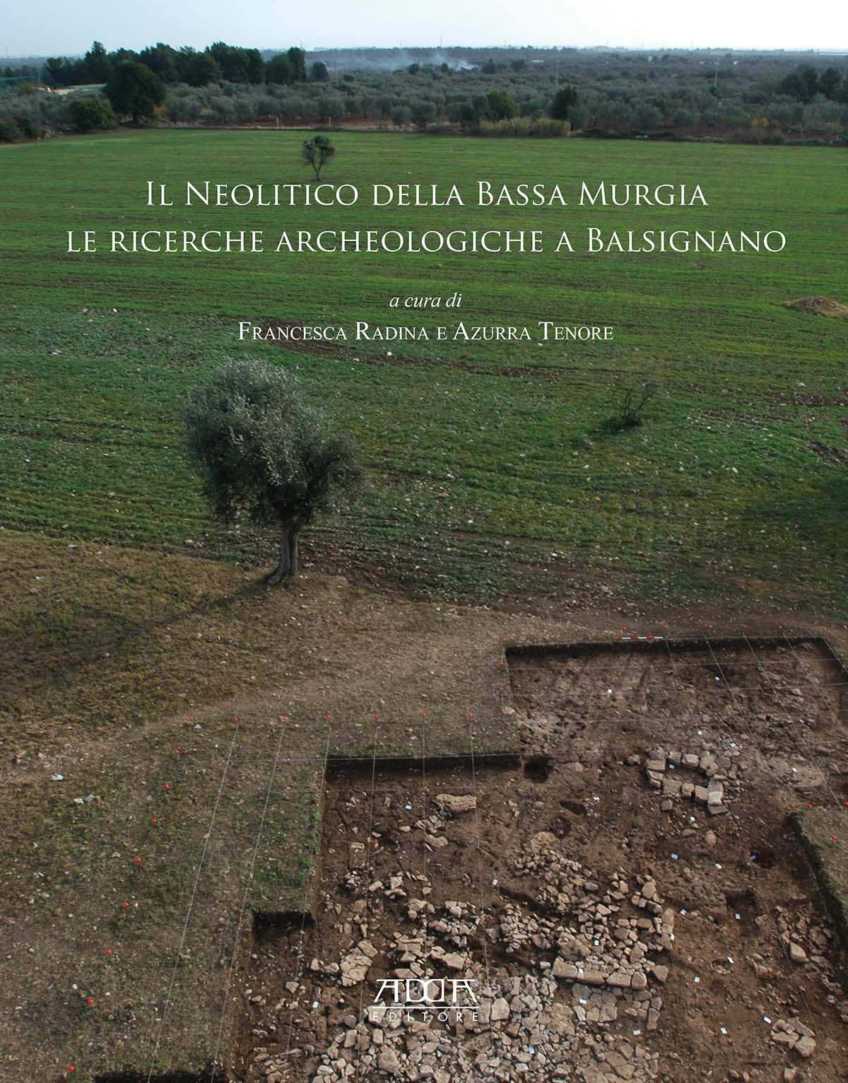 Il neolitico della bassa murgia. Le ricerche archeologiche a Balsignano