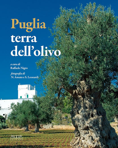 Puglia. Terra dell’olivo