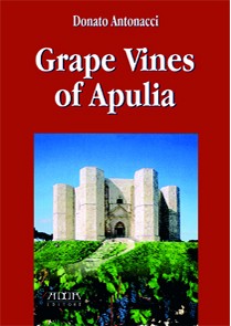 Grape Vines of Apulia