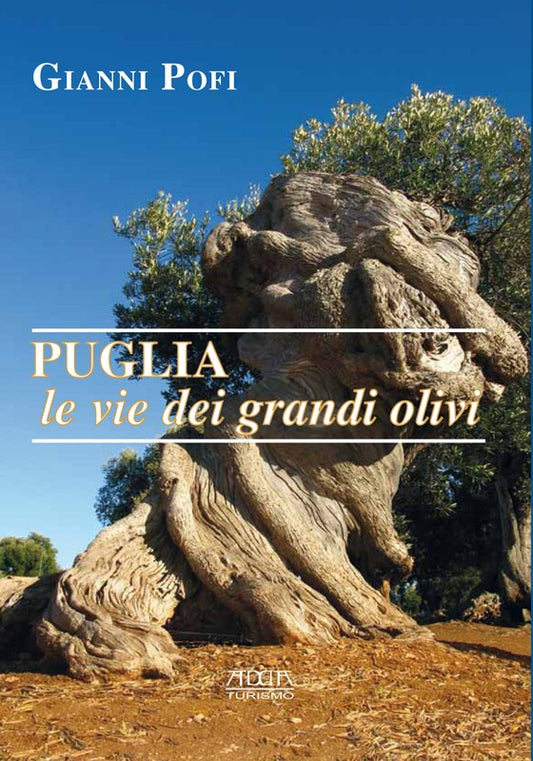 Puglia, le vie dei grandi olivi. Itinerari ed escursioni
